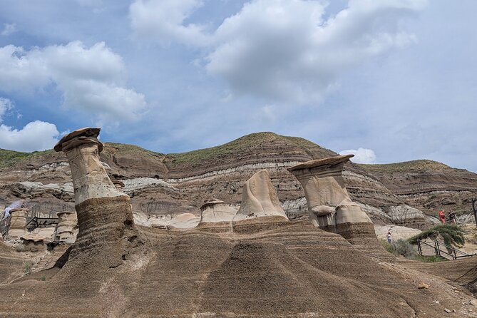 1 Day Drumheller Private Group Custom Tour: Calgary to Badlands - The Royal Tyrrell Museum deserves the longest stop