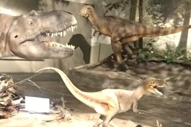 1 Day Guided Drumheller Tour: Calgary to Dinosaur Badlands - What Raj adds to the day