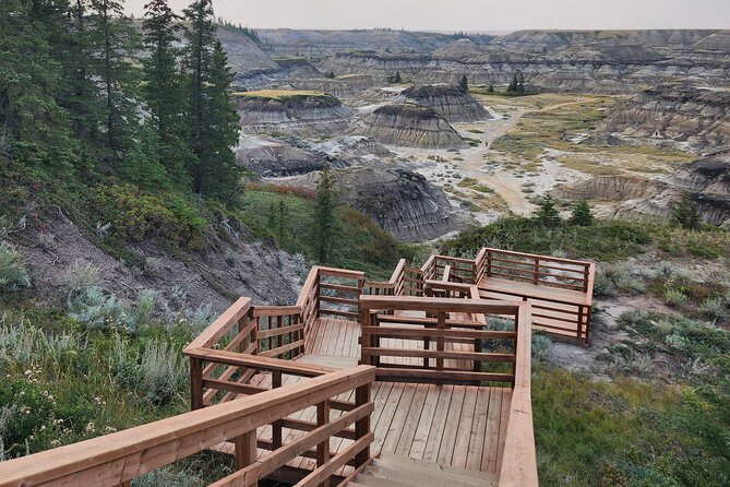 1 Day Guided Drumheller Tour: Calgary to Dinosaur Badlands - Who should book this Drumheller tour?