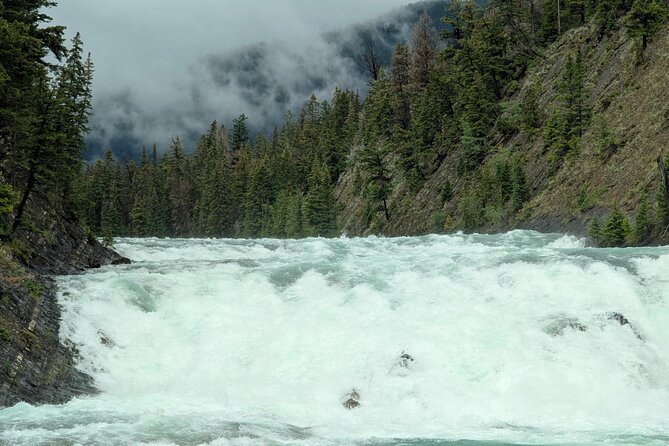1 Day of Banff Viewpoints Lakes Bow Valley in Private Custom Tour - Banff town gives you one hour for lunch and wandering
