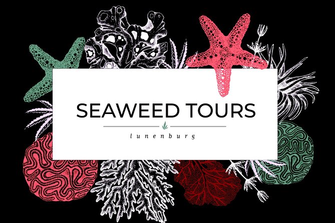 1 Hour Blue Rocks Excursions from Lunenburg - What the small group changes