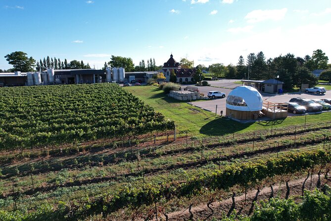 1 Hour Private Vineyard Dome Experience in Niagara-on-the-Lake - Is $45.06 per person good value?