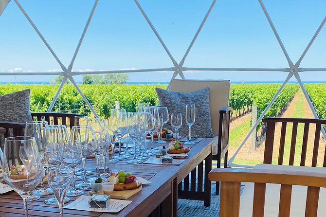 1 Hour Private Vineyard Dome Experience in Niagara-on-the-Lake - How the 60-minute tasting unfolds
