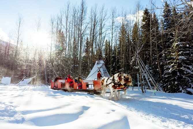 1 Hour Shared Winter Sleigh Ride Experience in Kananaskis - Buffalo, teepees, and the value of a short route