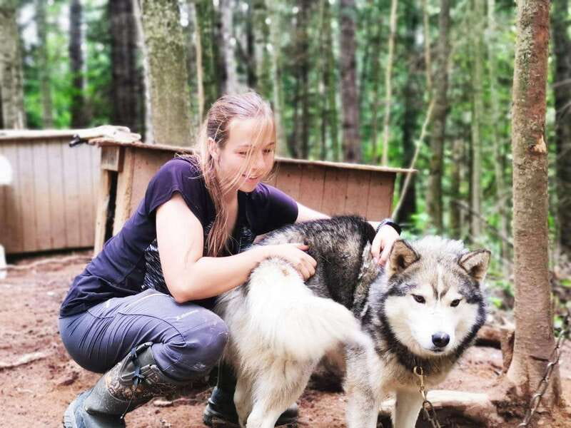 15 min. Tadoussac : Behind-the-Scenes Sled Dog Kennel Tour - Key points to know before you go