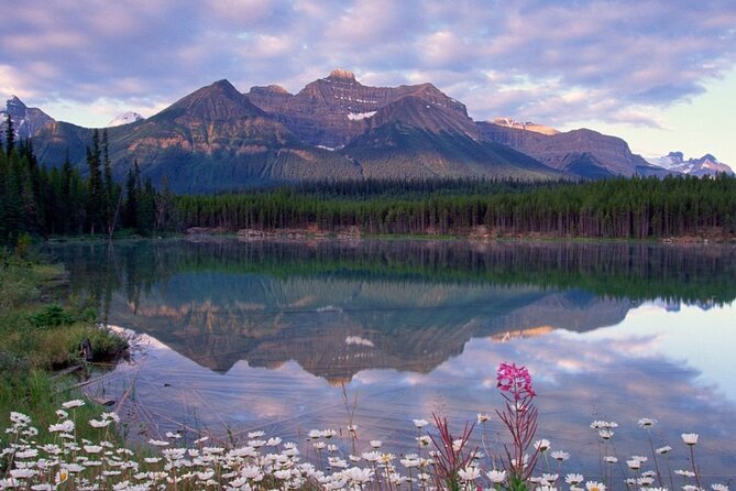 2-3 Days Lake Louise Moraine Gondola Johnston Canyon Icefield - Changes, cancellations, and ticket planning