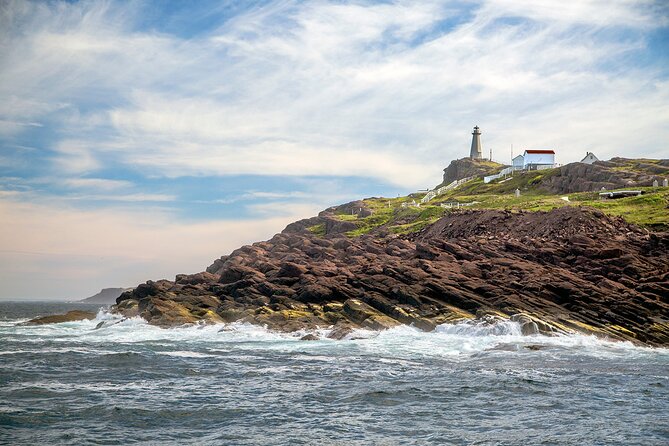 2 Hour Award-Winning Whale and Seabird Boat Tour from St. John's - Is $112.65 fair for two hours?