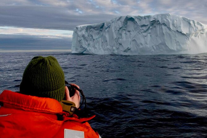 2 Hour Award-Winning Whale and Seabird Boat Tour from St. John's - Fort Amherst Lighthouse and The Narrows