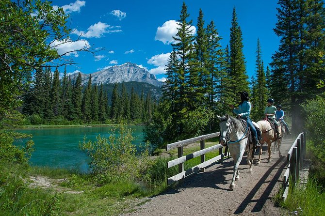 2 Hour Banff Horseback Riding Adventure - How much value do you get for $160.52?