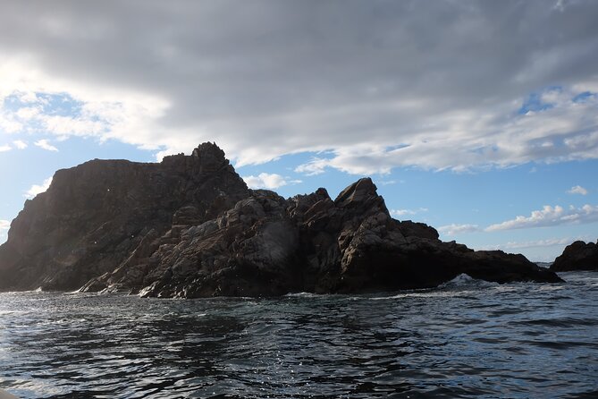 2 Hour Boat Tour in Twillingate - Long Point Lighthouse from the sea