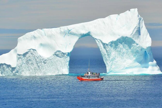 2 Hour Boat Tour in Twillingate - The first reward is the open-water view