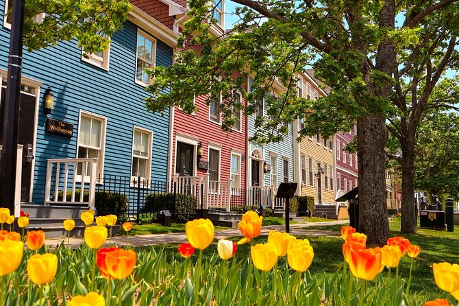 2 Hour E-bike tour of Charlottetown - Riding beyond Charlottetown’s streets