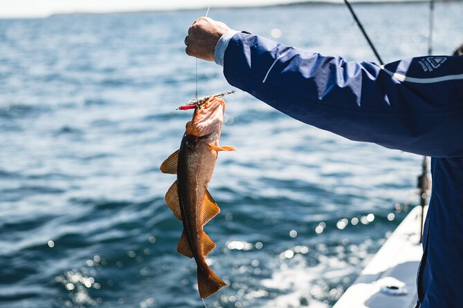 2 Hour Fishing Experience in Halifax - Handling rough water and seasickness