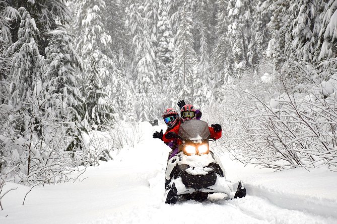 2 Hour Wilderness Adventure Snowmobile Tour in Whistler - How Fast Is the Ride?