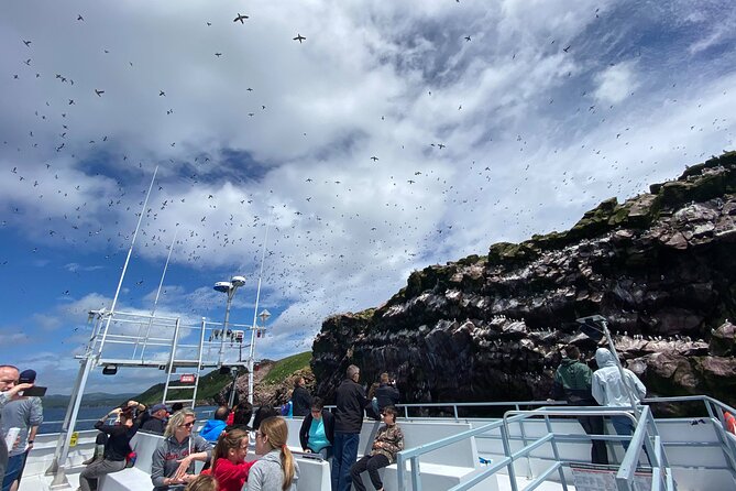 2 Hours Guided Whale and Bird Boat Tour in Bay Bulls - Four Islands, Four Million Seabirds