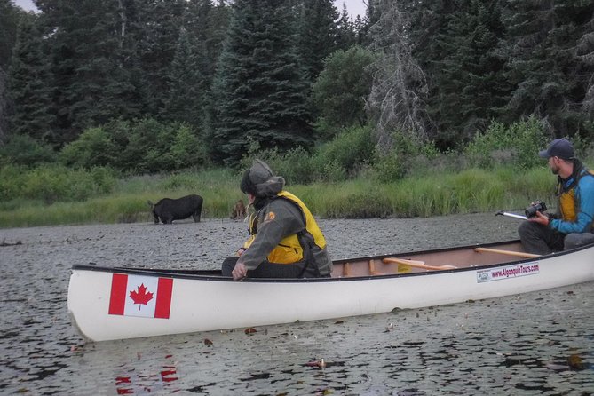 3 Day Algonquin Park Canoe Trip - Moose & Beaver Safari - Reaching Algonquin’s interior by canoe