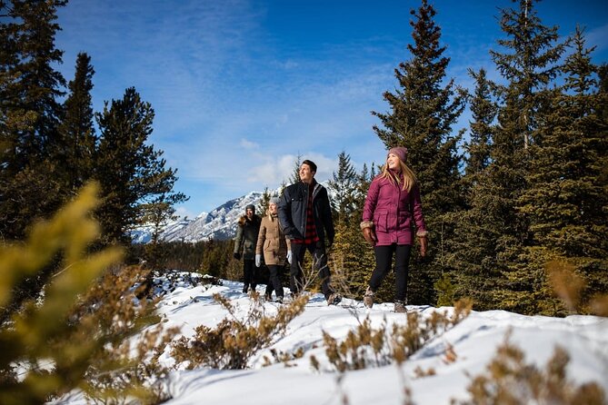 3-Day Rockies Express Tour Package: Banff, Lake Louise and Yoho - Who will get the most from this tour