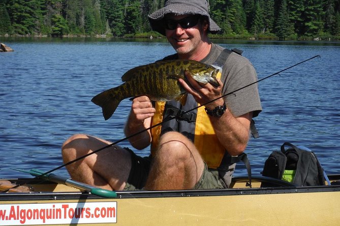 3 Hour Algonquin Park Bass & Trout Fishing (private- price is for 1 or 2 people) - What makes the guide important