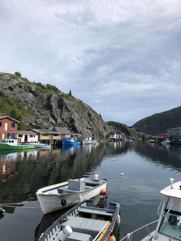 3 hour City Tour of St. John's, small group up to ten quests - Quidi Vidi shows the old fishing side of St. John’s