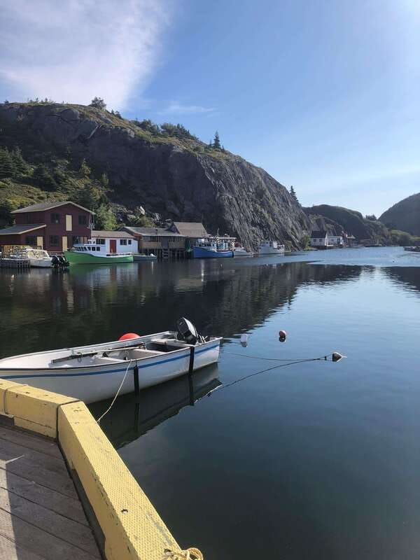 3 hour City Tour of St. John's, small group up to ten quests - Jellybean Row makes a quick, colorful photo stop