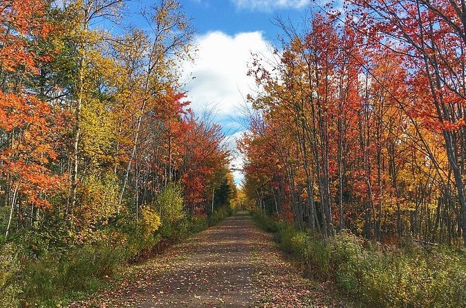 3 Hour E-Bike Tour of Charlottetown - The Confederation Trail by bicycle
