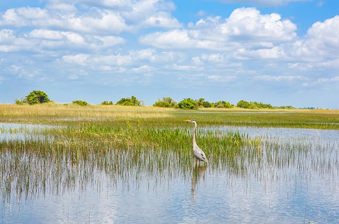 3h Boat Safari - Montreal’s Nature and Iconic Attractions Tour - What the $65.91 price really buys you