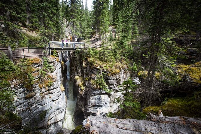 5 Day Canadian Rockies, Banff, Lake Louise, Moraine Lake, Jasper - Lake Louise, Moraine Lake, and Yoho
