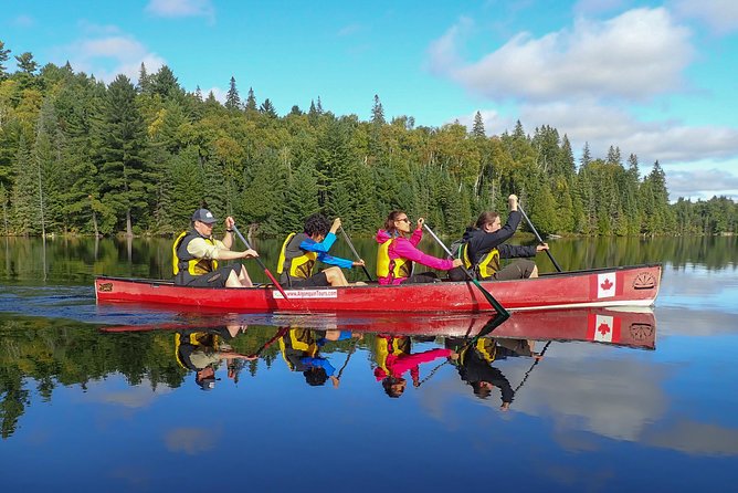 6 Hour Algonquin Park Canoe Trip - Key points to know before you book