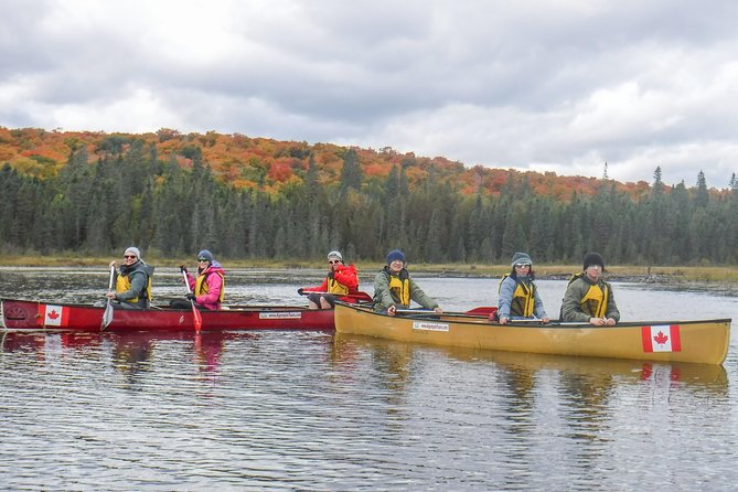 6 Hour Algonquin Park Canoe Trip - The lookout hike rewards the effort