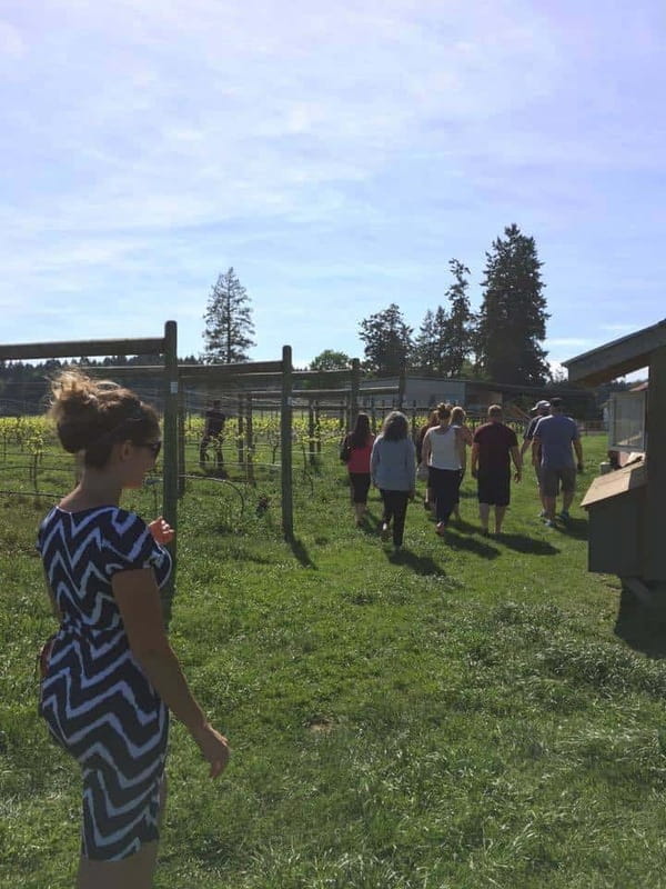6-Hour Victoria to Cowichan Wine Tour - Key points to know before booking