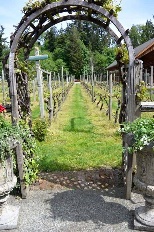 6-Hour Victoria to Cowichan Wine Tour - Blue Grouse at 12:30 p.m.