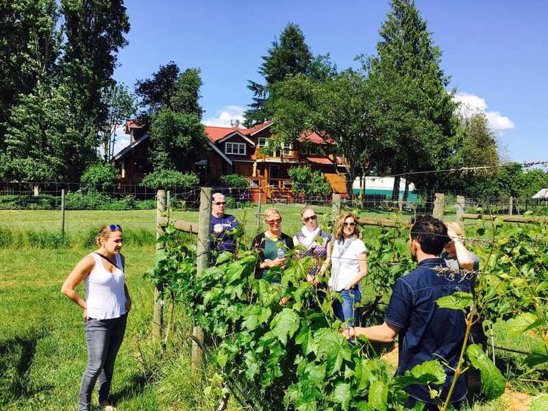 6-Hour Victoria to Cowichan Wine Tour - Unsworth and the behind-the-scenes visit