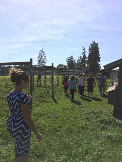 6-Hour Victoria to Cowichan Wine Tour - The price and what it really covers