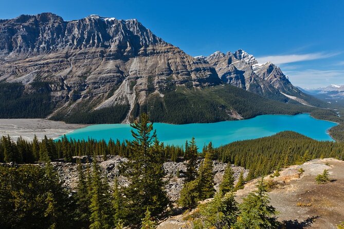 7 Days Canadian Rockies Camping Tour Package - Day 5: Takakkaw Falls and the Iceline Trail in Yoho