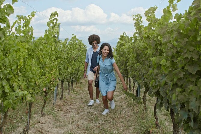 8 Hour Ontario Wine Tour with Cheese and Charcuterie - One hour in Niagara-on-the-Lake