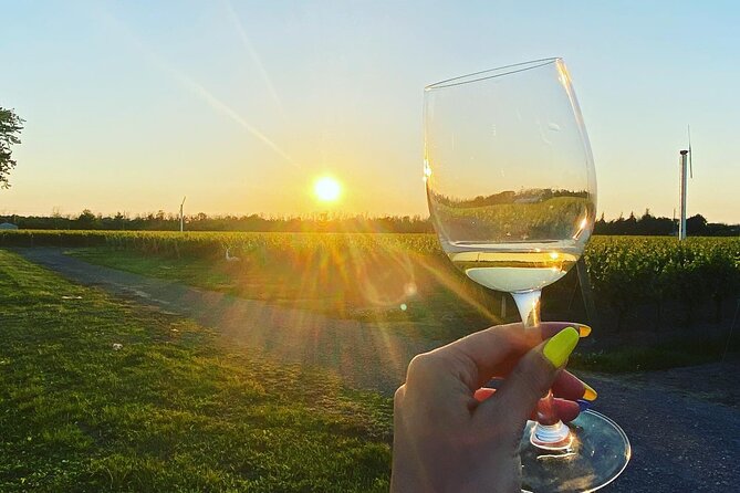 A Twilight Wine Adventure with 3-Course Dinner - What $220.80 buys you