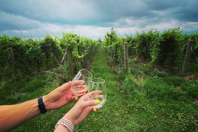 A Twilight Wine Adventure with 3-Course Dinner - Pillitteri Estates opens the afternoon with award-winning wines