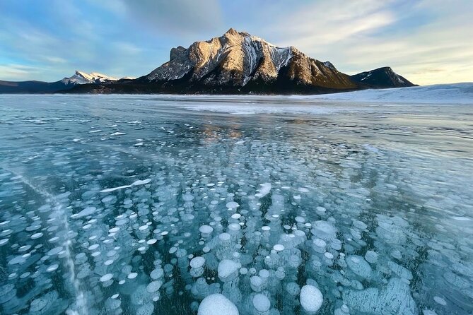 Abraham Ice Bubble/Sunwapta Falls,Snowshoeing,Icefield, Bow&Peyto - Bow Lake and Crowfoot Glacier