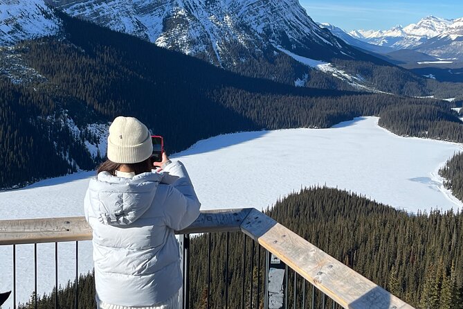 Abraham Ice Bubble/Sunwapta Falls,Snowshoeing,Icefield, Bow&Peyto - Winter alternatives when Abraham Lake is not possible