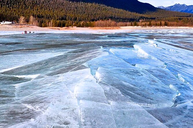 Abraham IceBubble, Peyto, Bow Lake with Snowshoeing& Icewalk - The Bow Valley Parkway adds wildlife potential