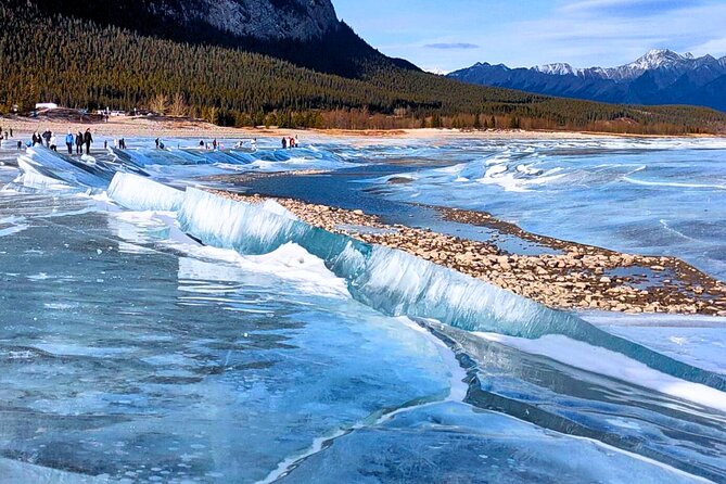 Abraham IceBubble, Peyto, Bow Lake with Snowshoeing& Icewalk - Is the $74.35 price good value?