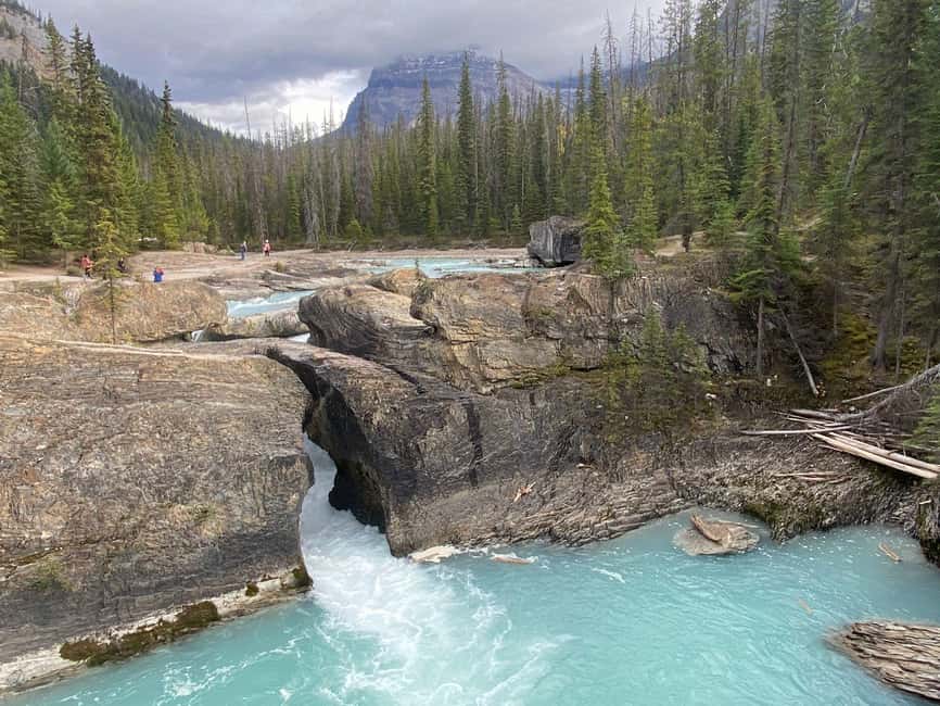 Abraham IceBubble, Peyto, Lake Louise, Bow Lake, Snowshoeing - Who will get the most from this tour