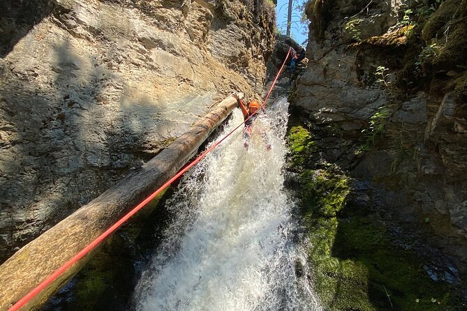 Adrenaline Canyoning Kelowna - A real canyon, not a built ropes course