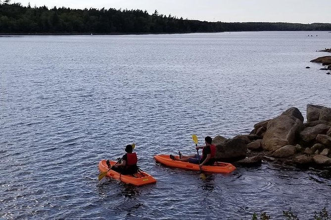 Adult Single Kayak Rental - A wilderness break beside Halifax
