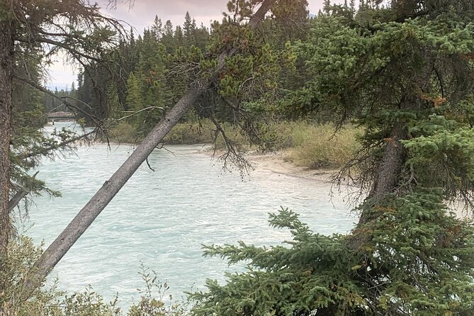 Airport Shuttle: Lake Louise <---> Calgary - Child seats and family planning