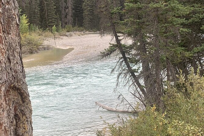 Airport Shuttle: Lake Louise <---> Calgary - Is CA$392.42 a fair price?