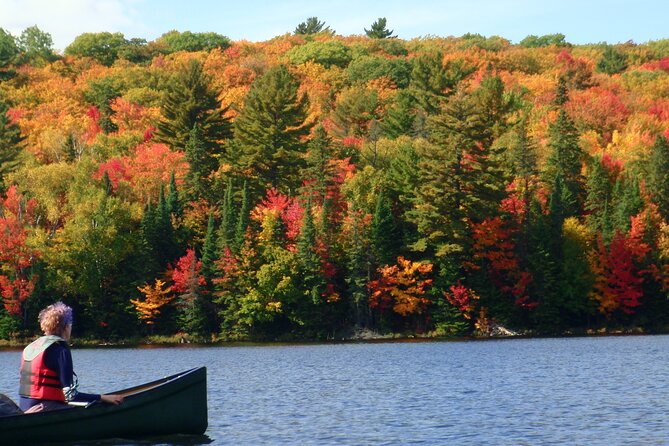Algonquin Park 3-Day Deluxe Camping & Canoeing Adventure - What makes this Algonquin canoe trip special