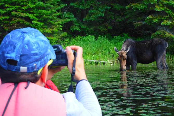 Algonquin Park 3-Day Deluxe Camping & Canoeing Adventure - From Canoe Lake to a Backcountry Camp