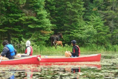 Algonquin Park 3-Day Deluxe Camping & Canoeing Adventure