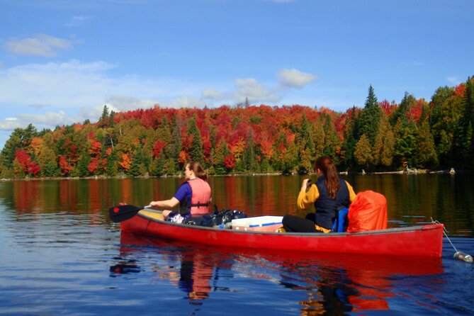 Algonquin Park 4-Day Deluxe Camping & Canoeing Adventure - Key things to know before you go